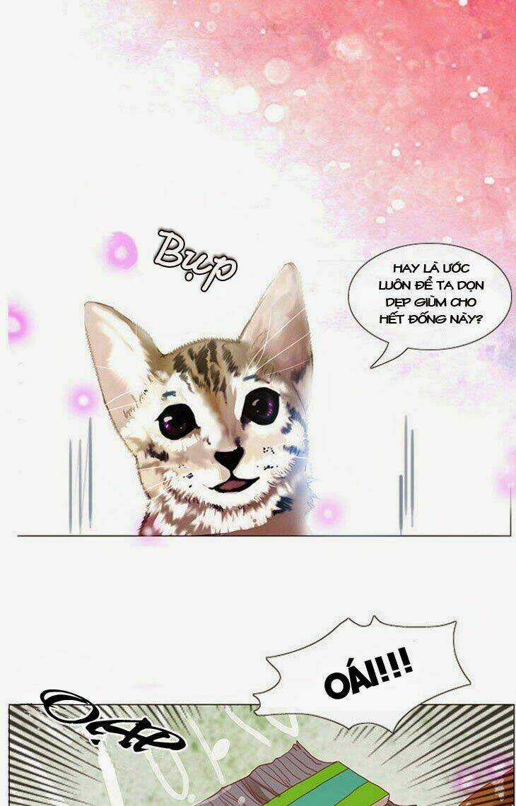 Món quà từ Chúa - Chapter 2 - Trang 20