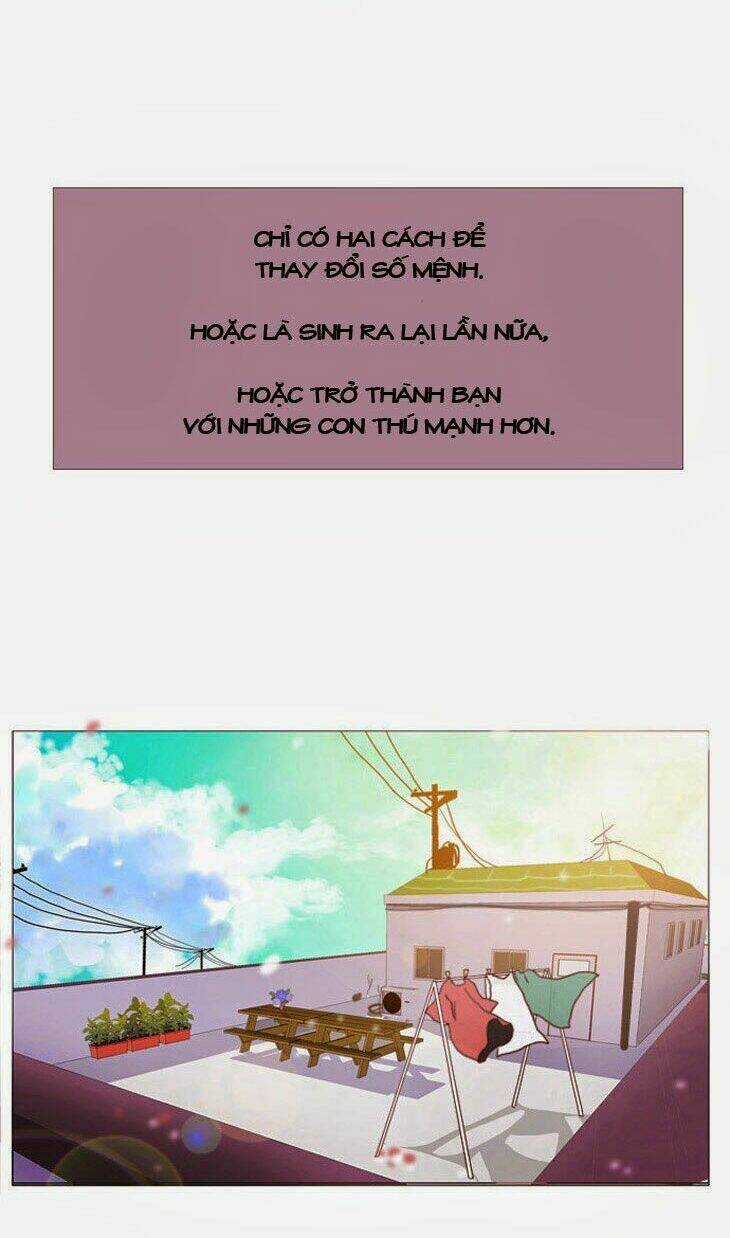 Món quà từ Chúa - Chapter 2 - Trang 33