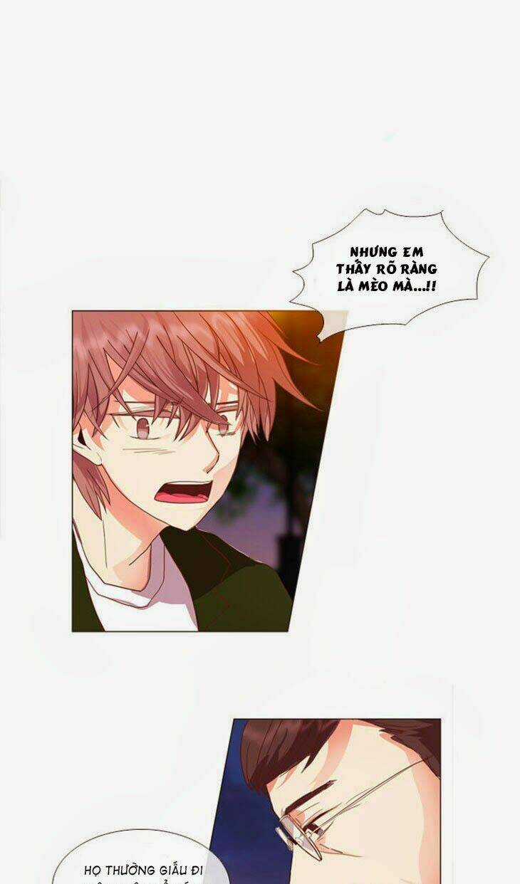 Món quà từ Chúa - Chapter 22 - Trang 27