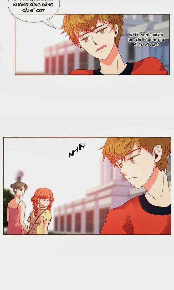 Món quà từ Chúa - Chapter 24 - Trang 12