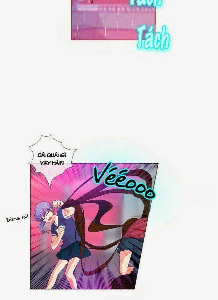 Món quà từ Chúa - Chapter 28 - Trang 5