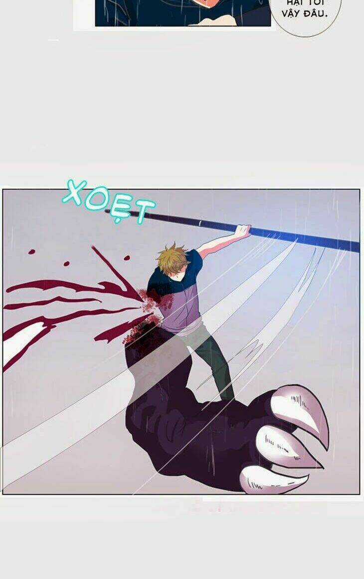 Món quà từ Chúa - Chapter 29 - Trang 25