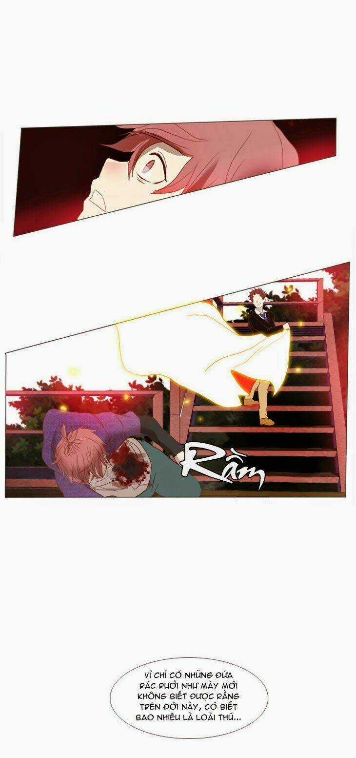 Món quà từ Chúa - Chapter 3 - Trang 28