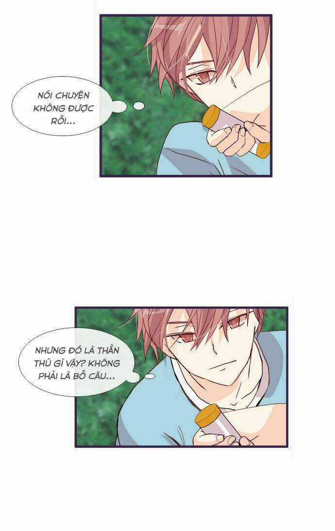 Món quà từ Chúa - Chapter 57 - Trang 27