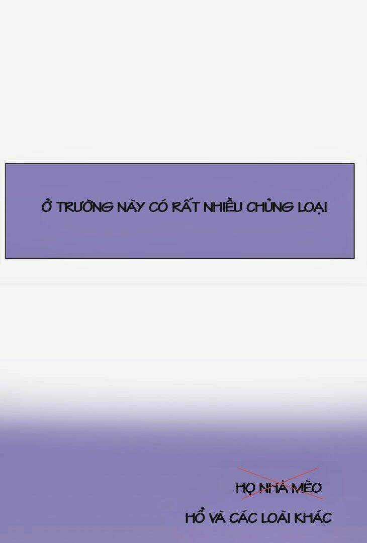 Món quà từ Chúa - Chapter 9 - Trang 40