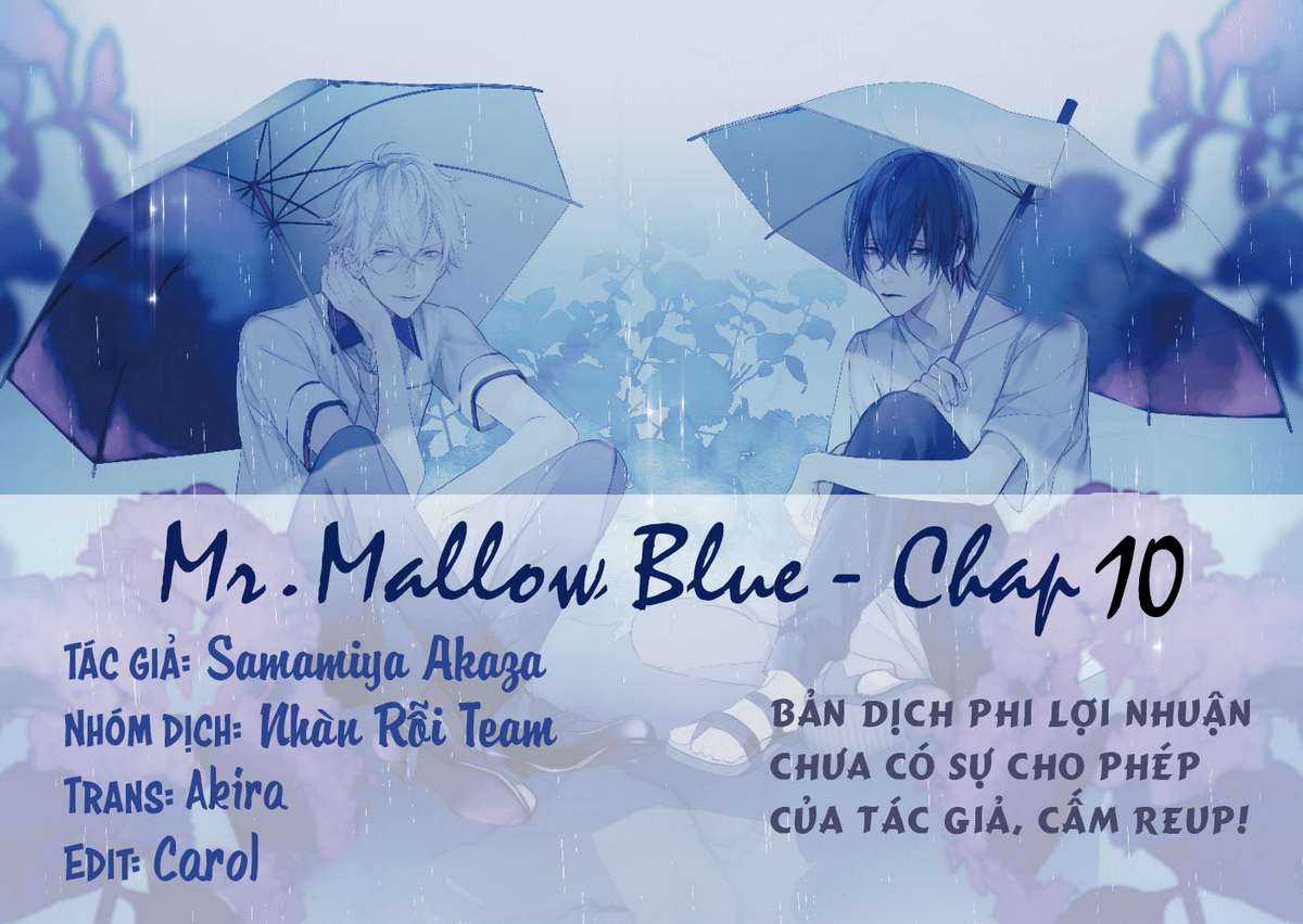 Mr. Mallow Blue - Chapter 10 - Trang 1