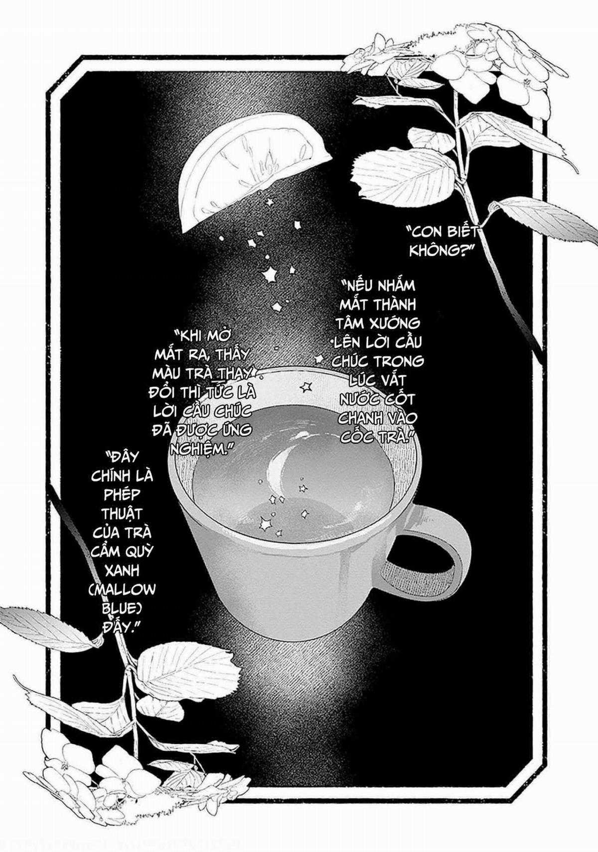 Mr. Mallow Blue - Chapter 16 - Trang 4