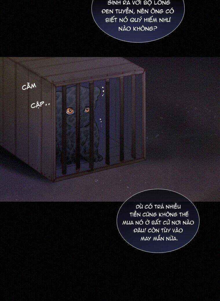 Mùa Đông Tăm Tối - Chapter 21 - Trang 6