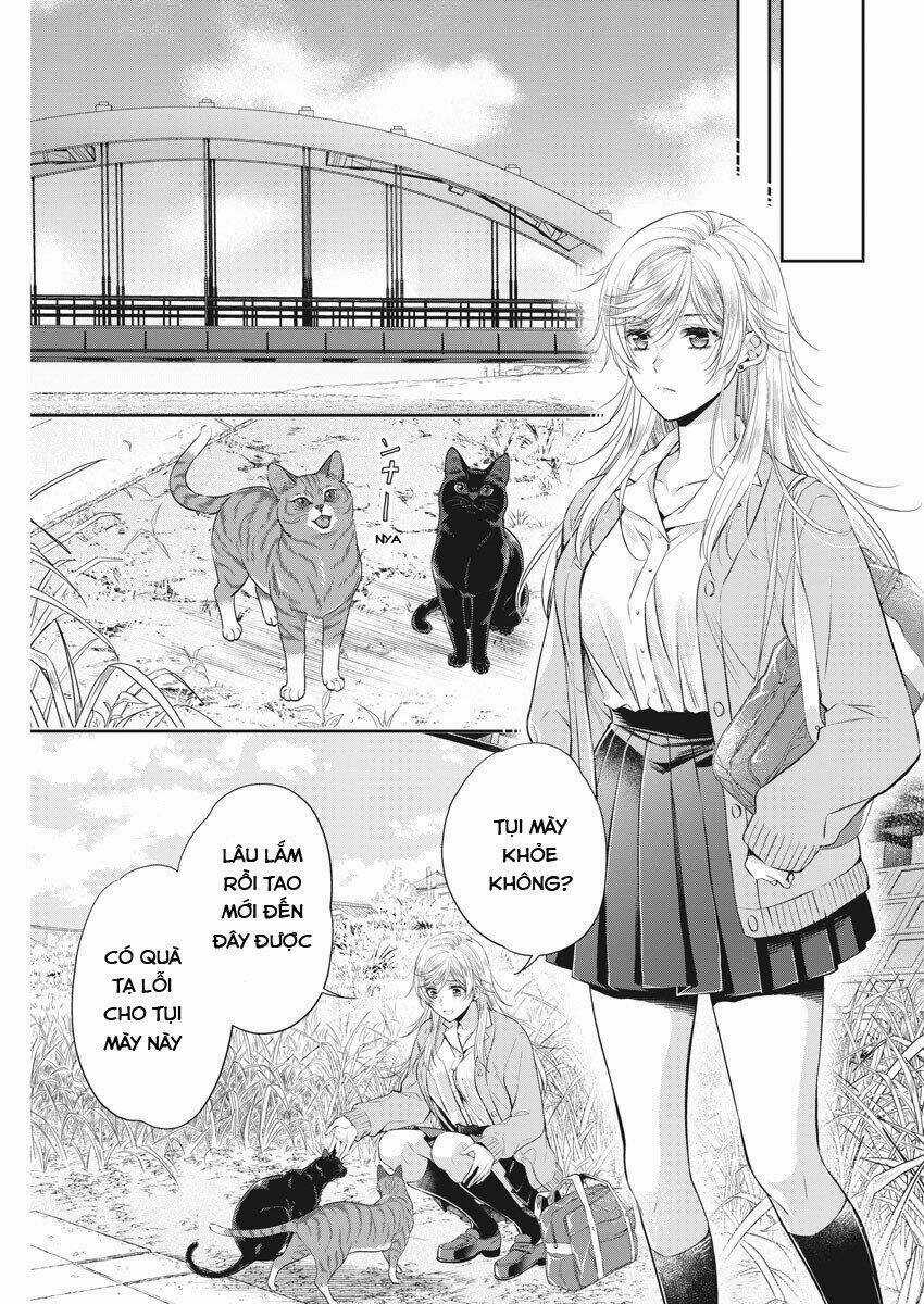 Mùa Xuân Đến - Chapter 7 - Trang 19