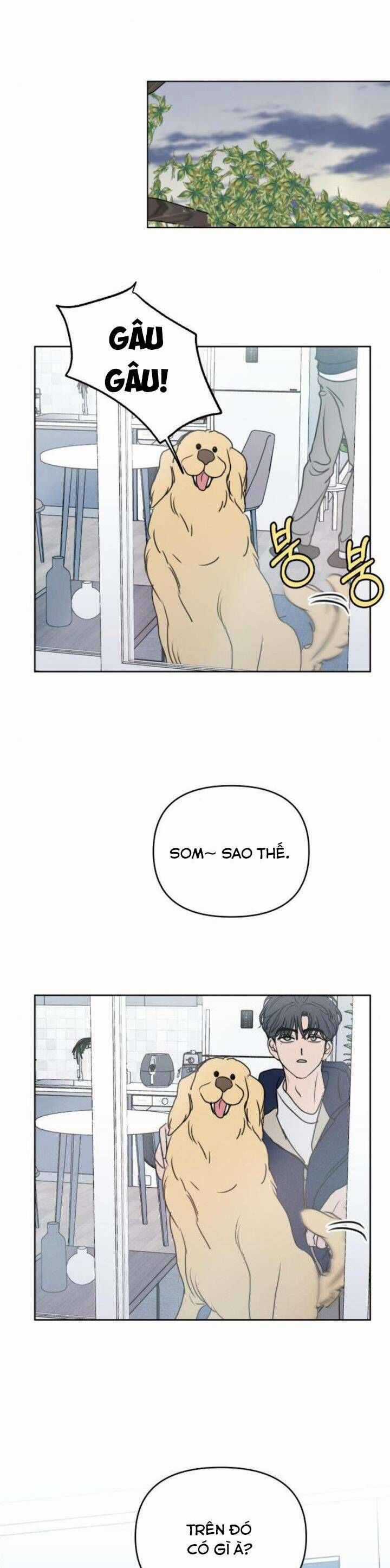 Muốn Được Lừa Dối - Chương 20 - Trang 40