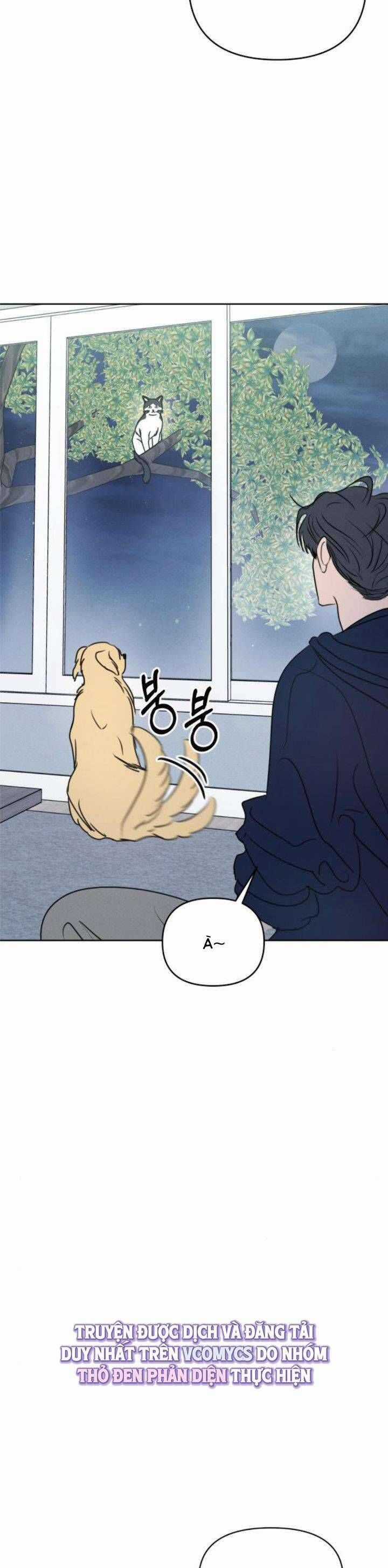 Muốn Được Lừa Dối - Chương 21 - Trang 12