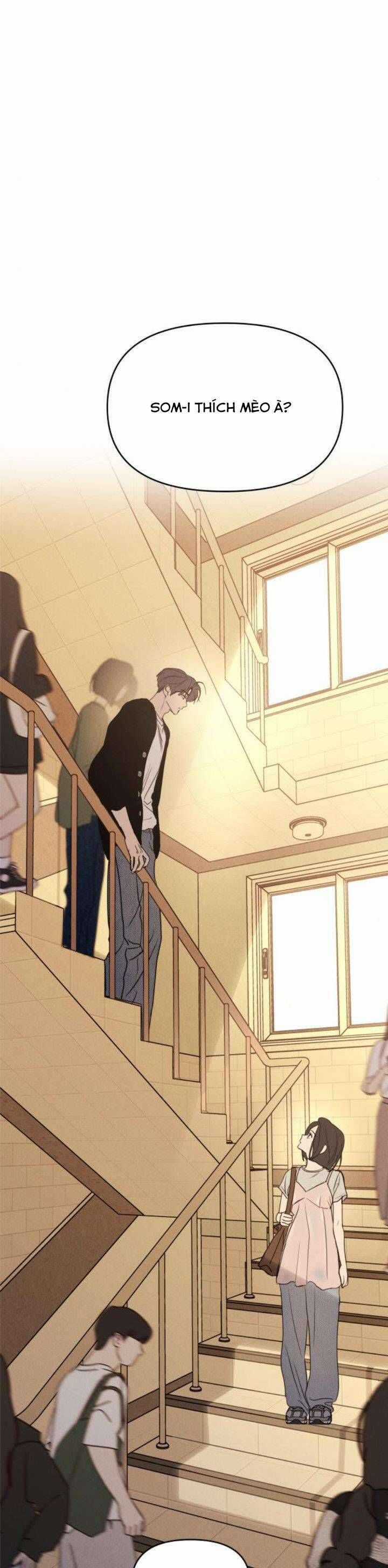 Muốn Được Lừa Dối - Chương 21 - Trang 17