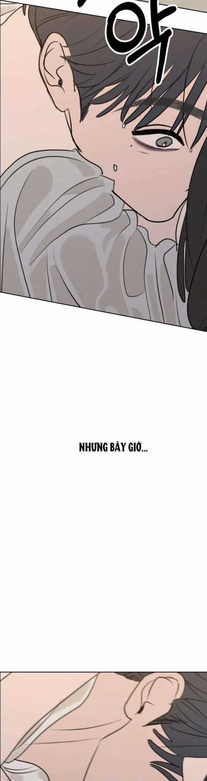 Muốn Được Lừa Dối - Chương 24 - Trang 12