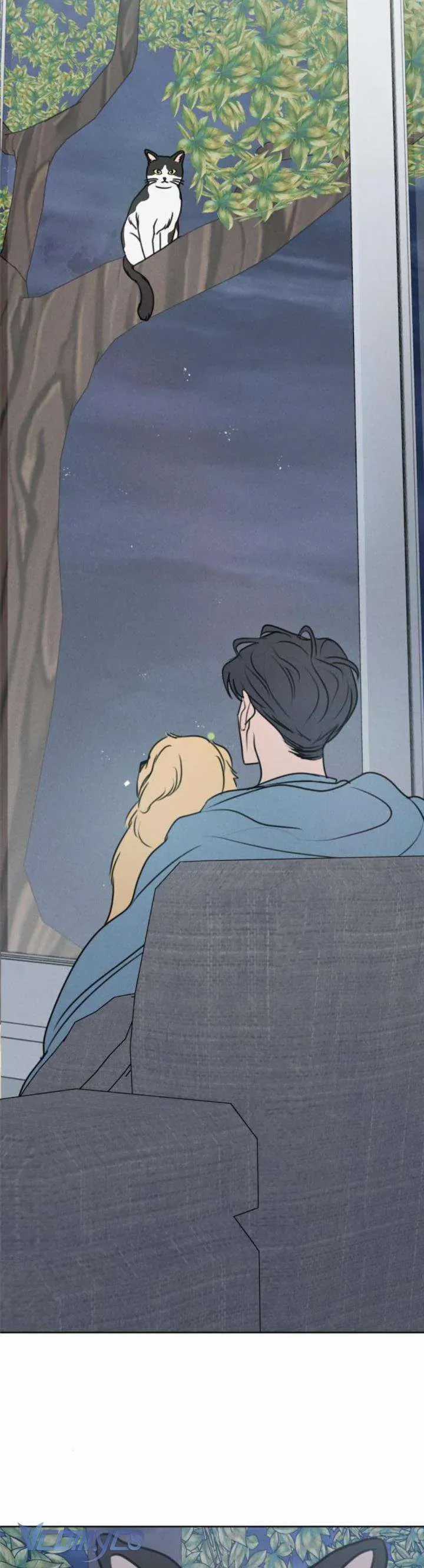 Muốn Được Lừa Dối - Chương 26 - Trang 34