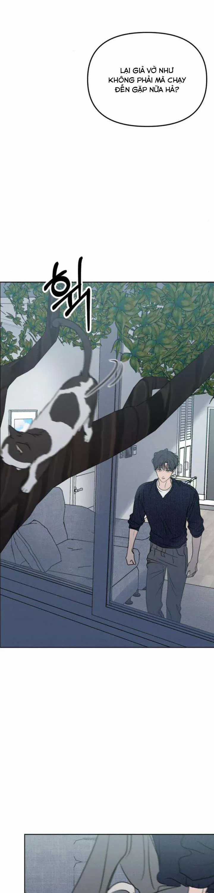 Muốn Được Lừa Dối - Chương 26 - Trang 36