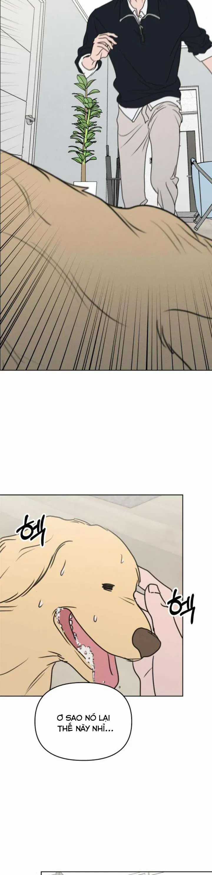 Muốn Được Lừa Dối - Chương 32 - Trang 27