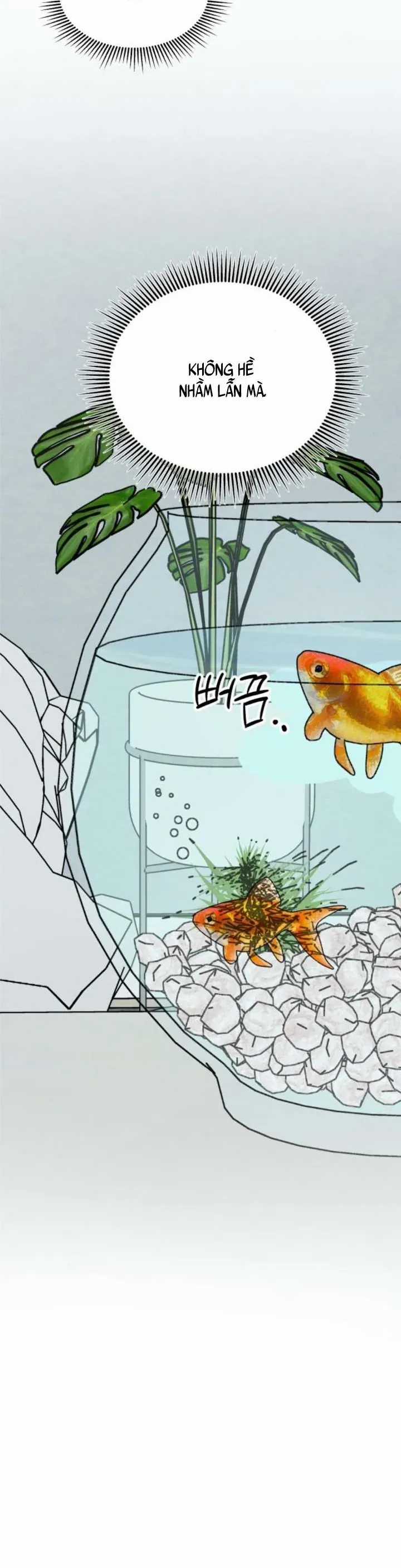 Muốn Được Lừa Dối - Chương 39 - Trang 12