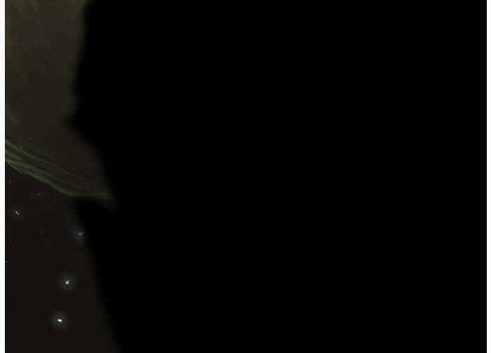 Murim Thời Hiện Đại - Chapter 64 - Trang 69