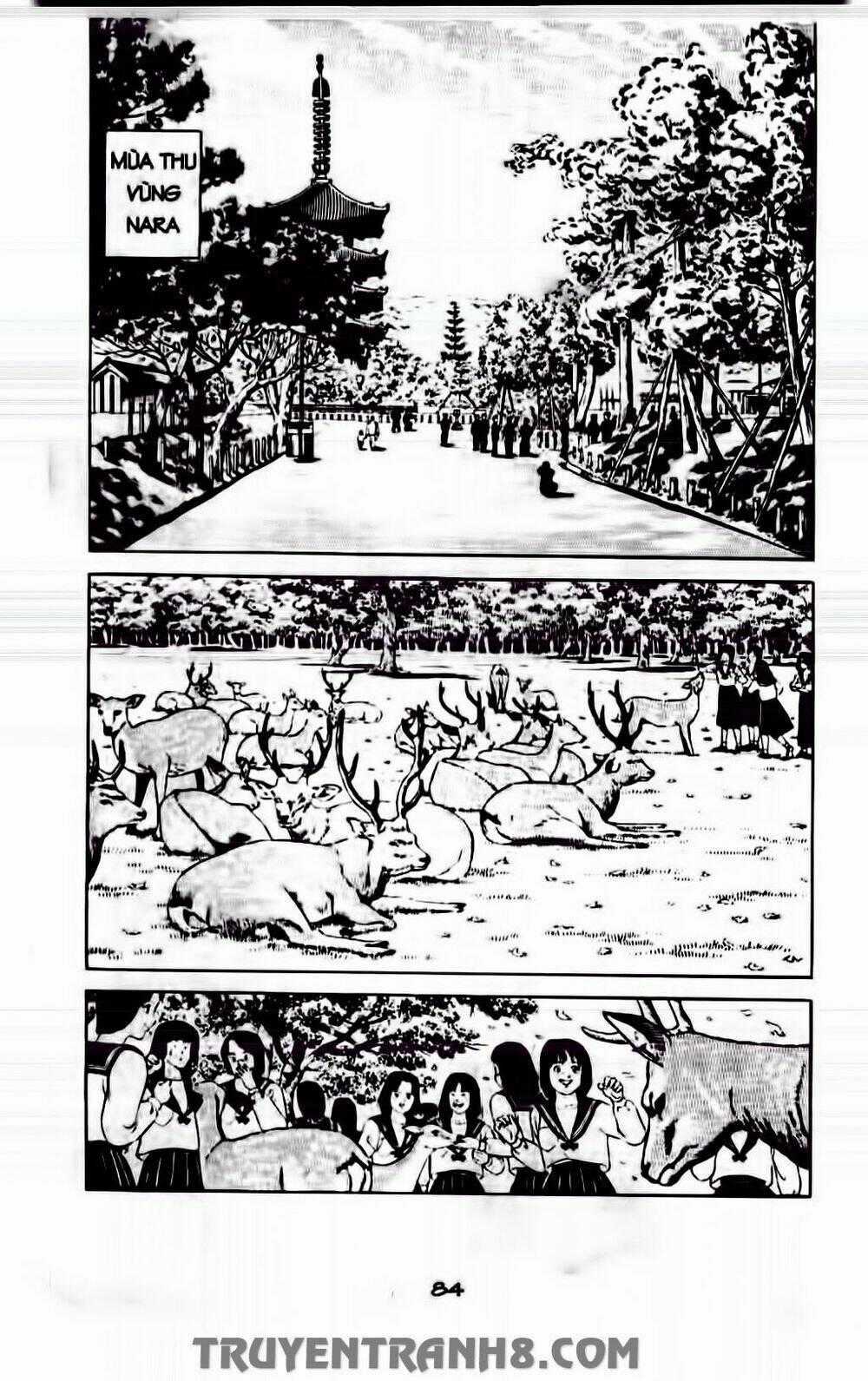 Musashi - Chapter 172 - Trang 2