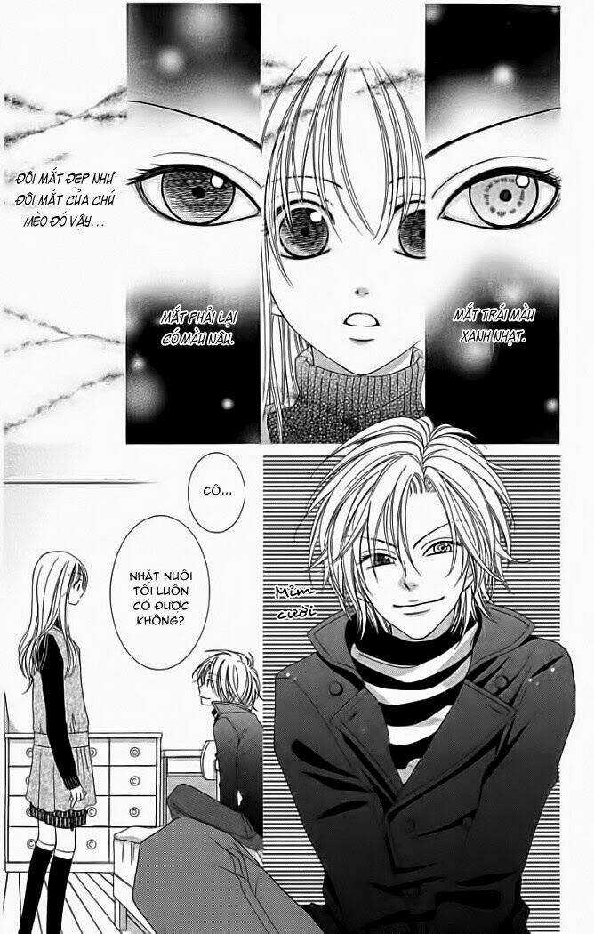 My Dear Cat - Chapter 1 - Trang 11