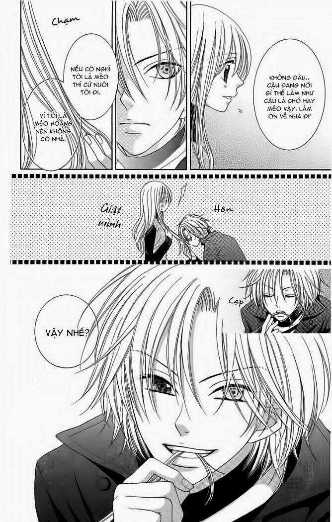 My Dear Cat - Chapter 1 - Trang 12