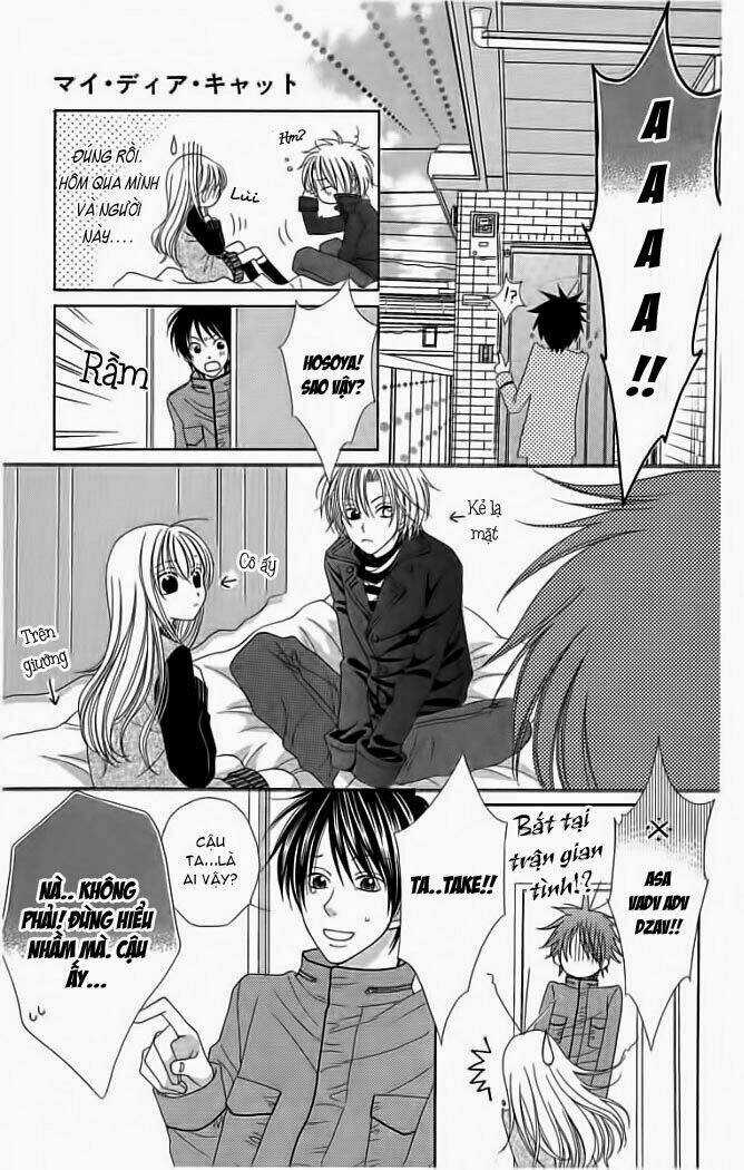 My Dear Cat - Chapter 1 - Trang 17