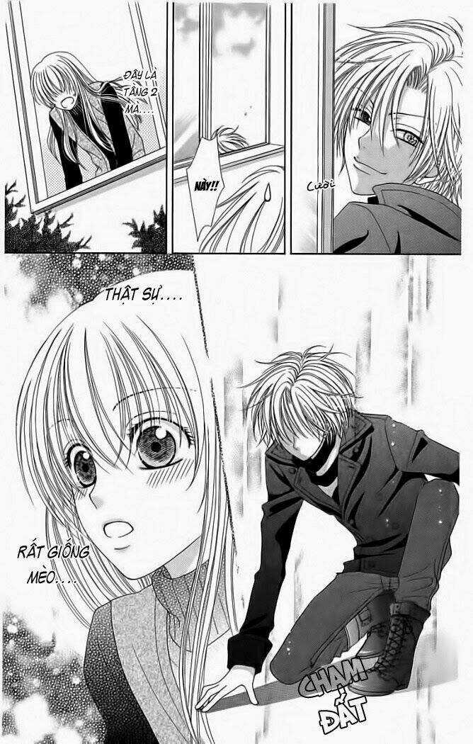 My Dear Cat - Chapter 1 - Trang 21