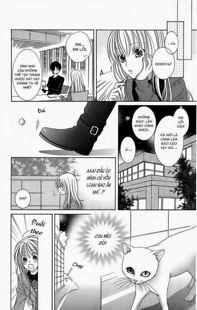 My Dear Cat - Chapter 1 - Trang 22