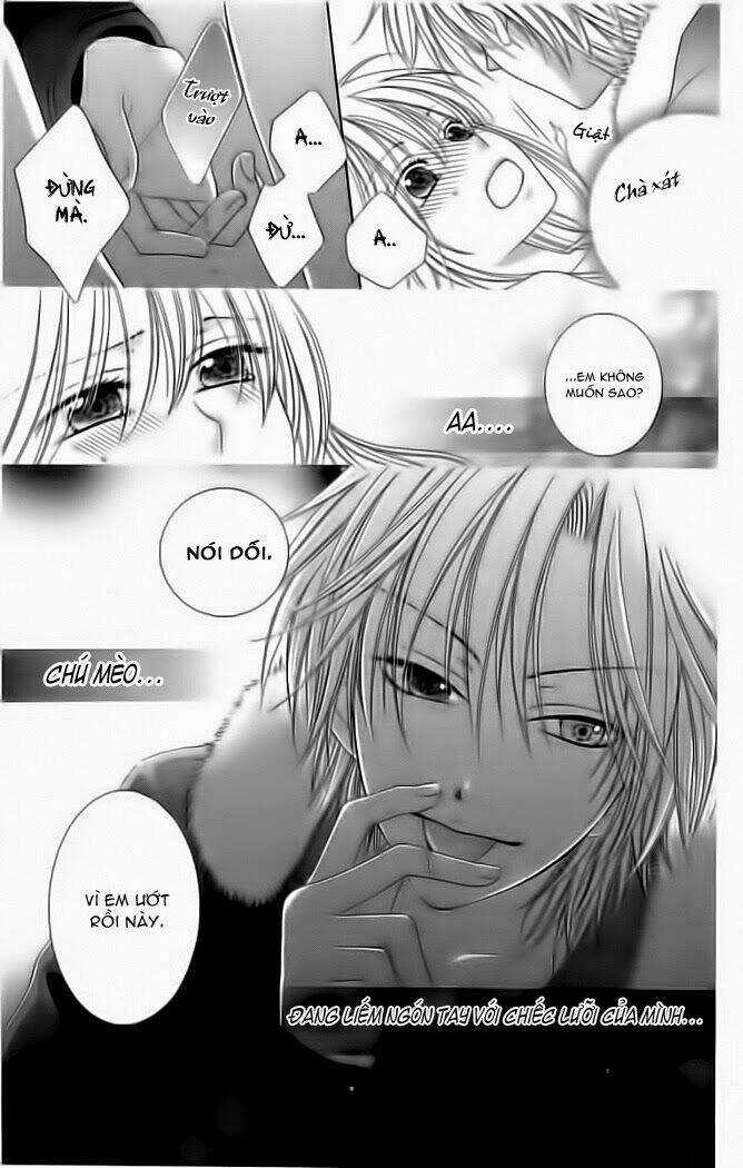 My Dear Cat - Chapter 1 - Trang 31