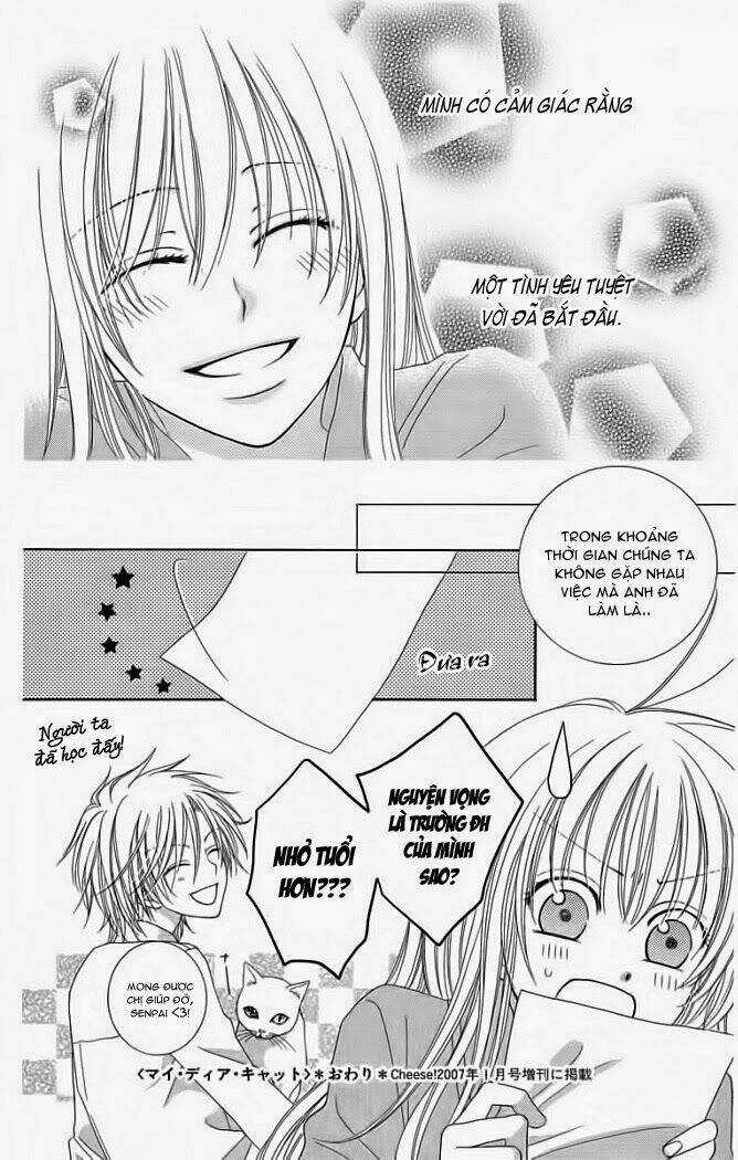 My Dear Cat - Chapter 1 - Trang 44