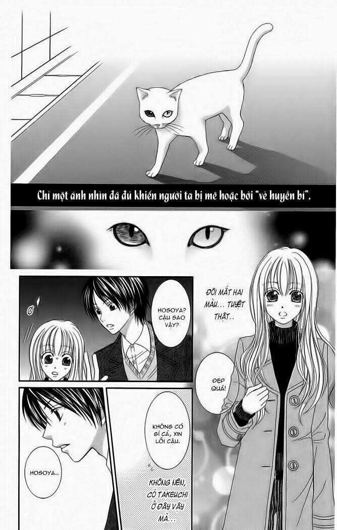 My Dear Cat - Chapter 1 - Trang 6