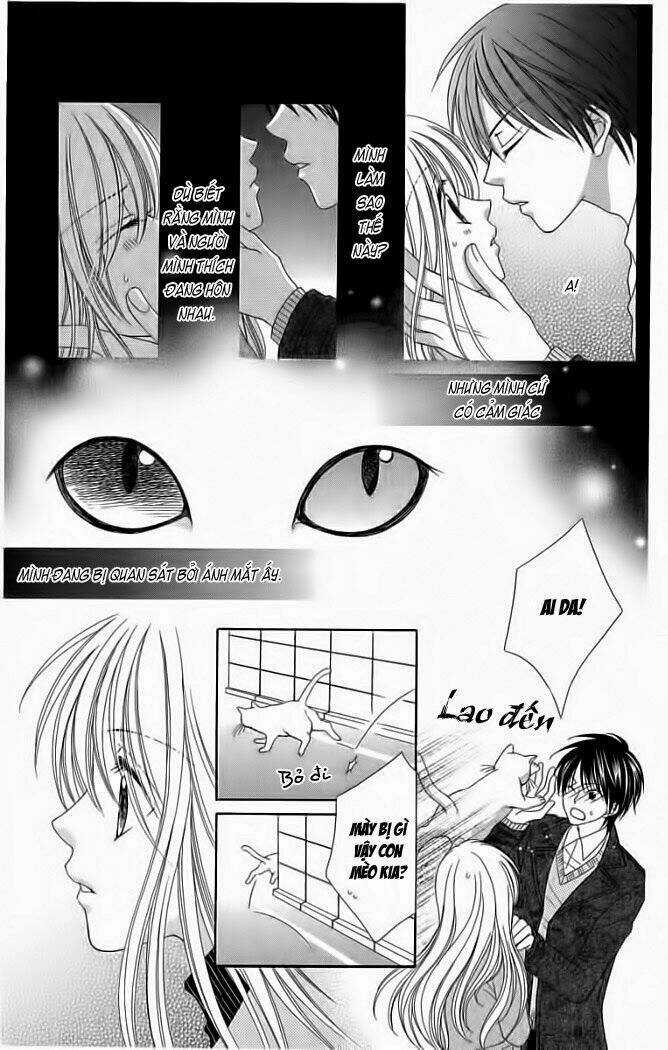My Dear Cat - Chapter 1 - Trang 7