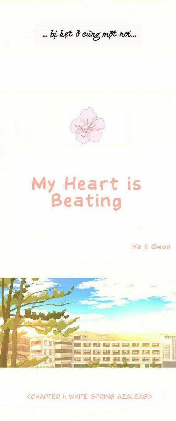 My Heart Is Beating - Chapter 1 - Trang 8