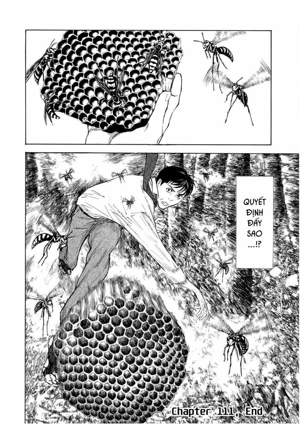 My Home Hero - Chapter 111 - Trang 21