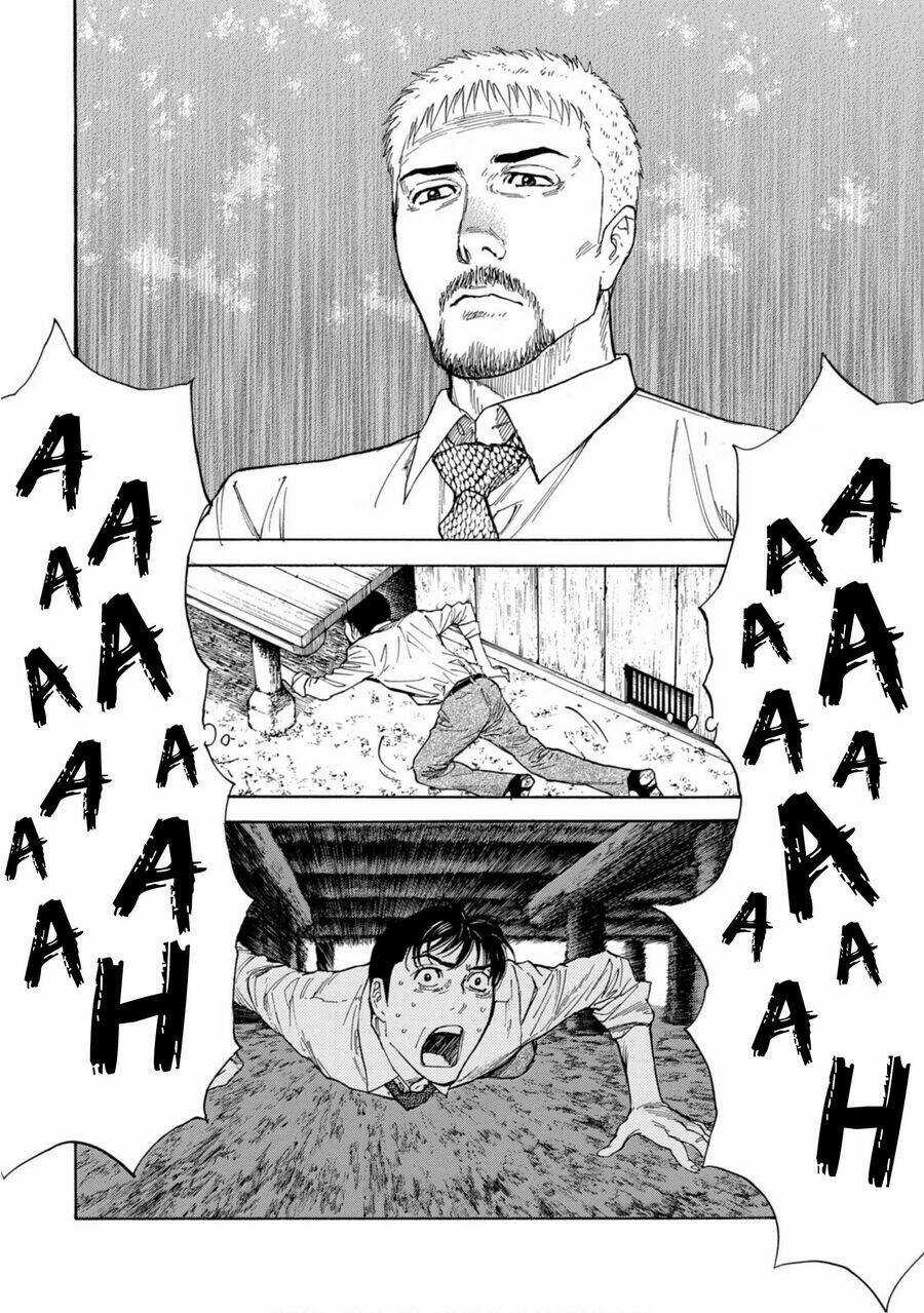 My Home Hero - Chapter 113 - Trang 11