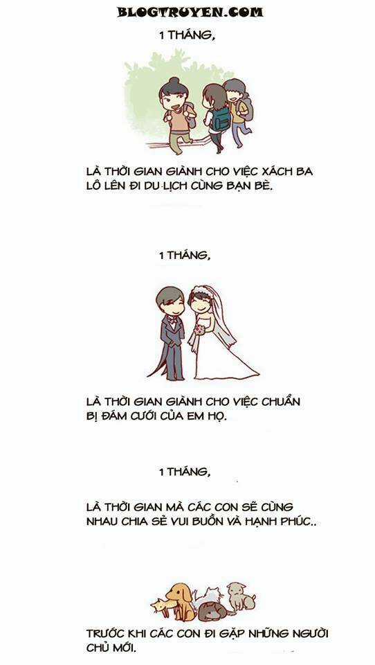 My Kitty And Old Dog - Chapter 10 - Trang 3