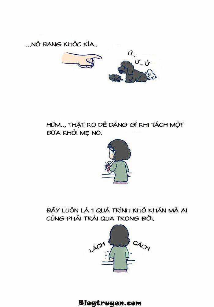 My Kitty And Old Dog - Chapter 11 - Trang 5