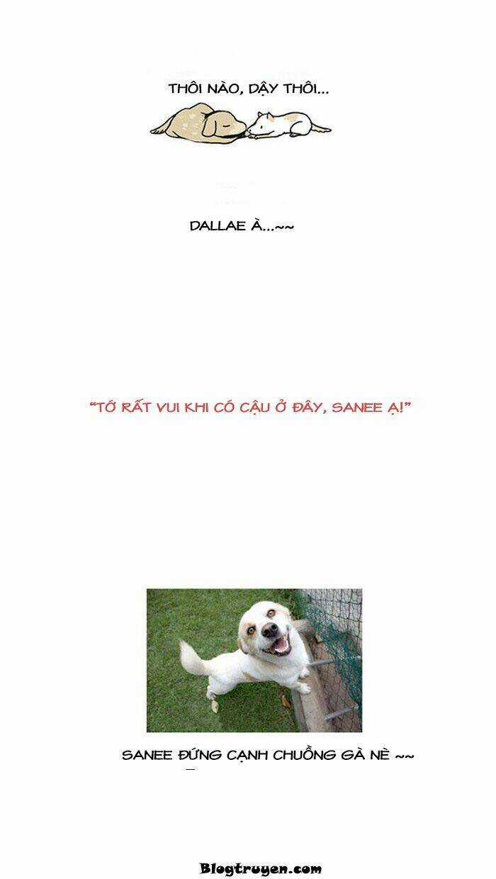 My Kitty And Old Dog - Chapter 12 - Trang 12