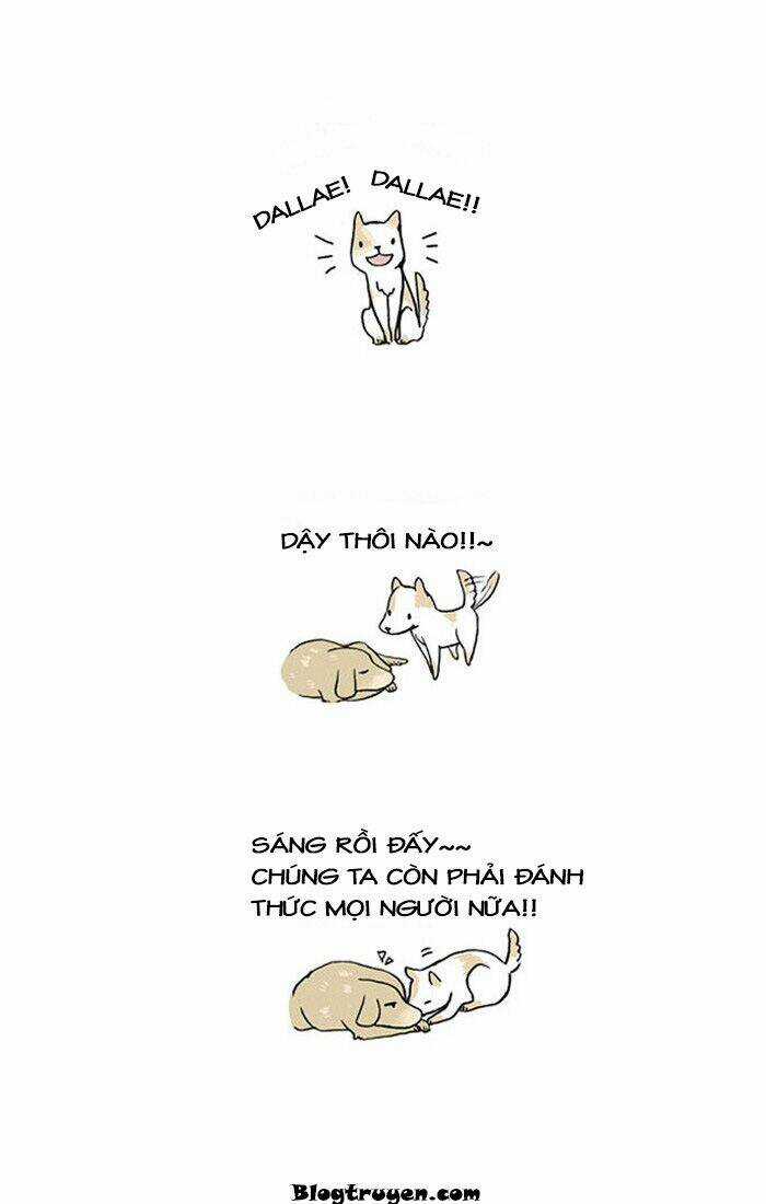 My Kitty And Old Dog - Chapter 12 - Trang 3