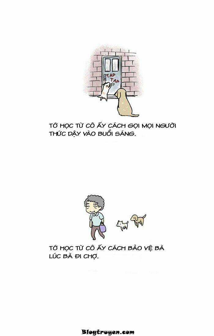 My Kitty And Old Dog - Chapter 12 - Trang 5