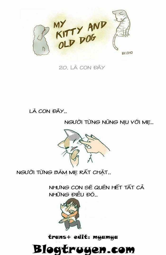 My Kitty And Old Dog - Chapter 20 - Trang 2