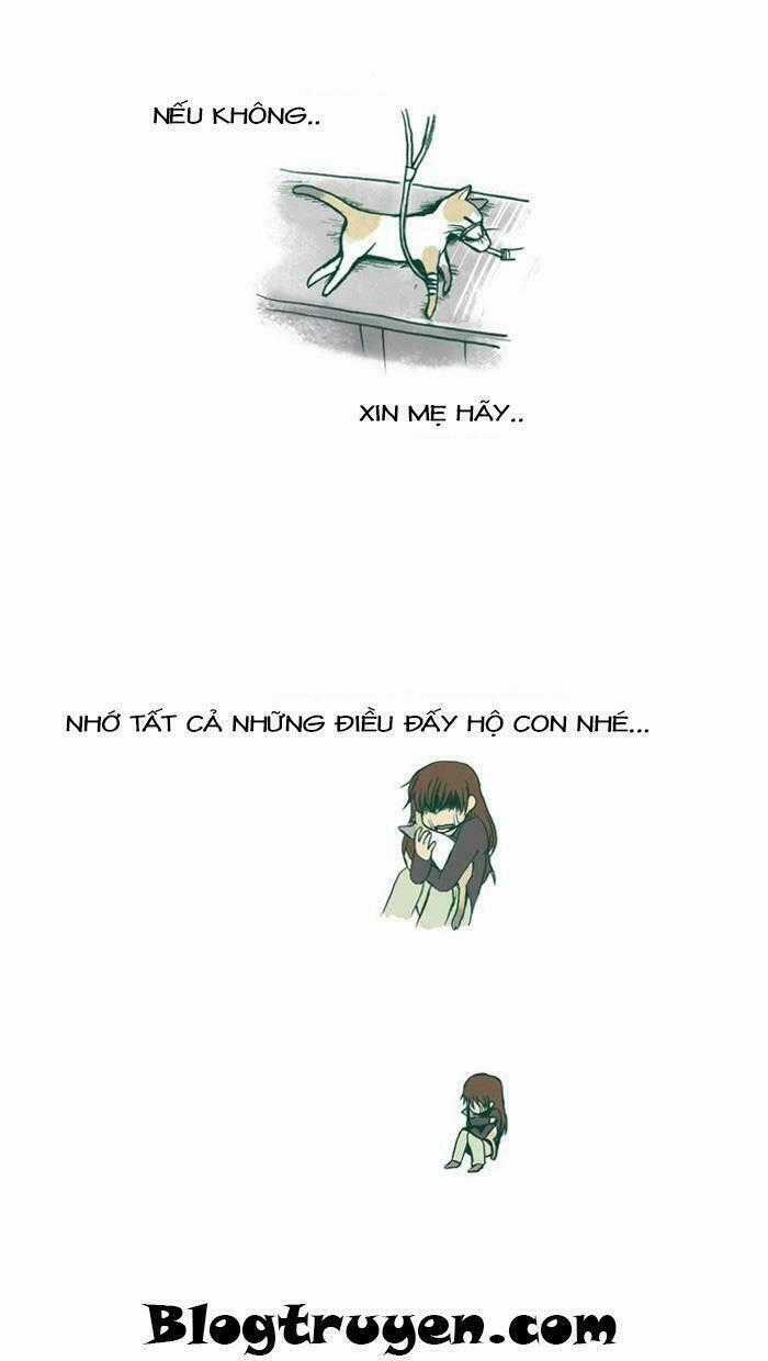 My Kitty And Old Dog - Chapter 20 - Trang 4