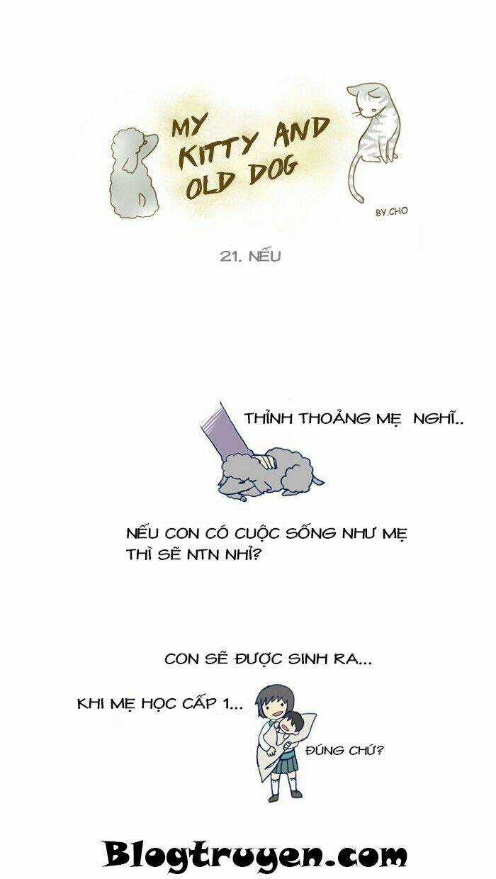 My Kitty And Old Dog - Chapter 22 - Trang 2