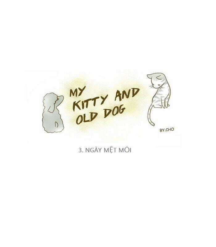 My Kitty And Old Dog - Chapter 3 - Trang 1