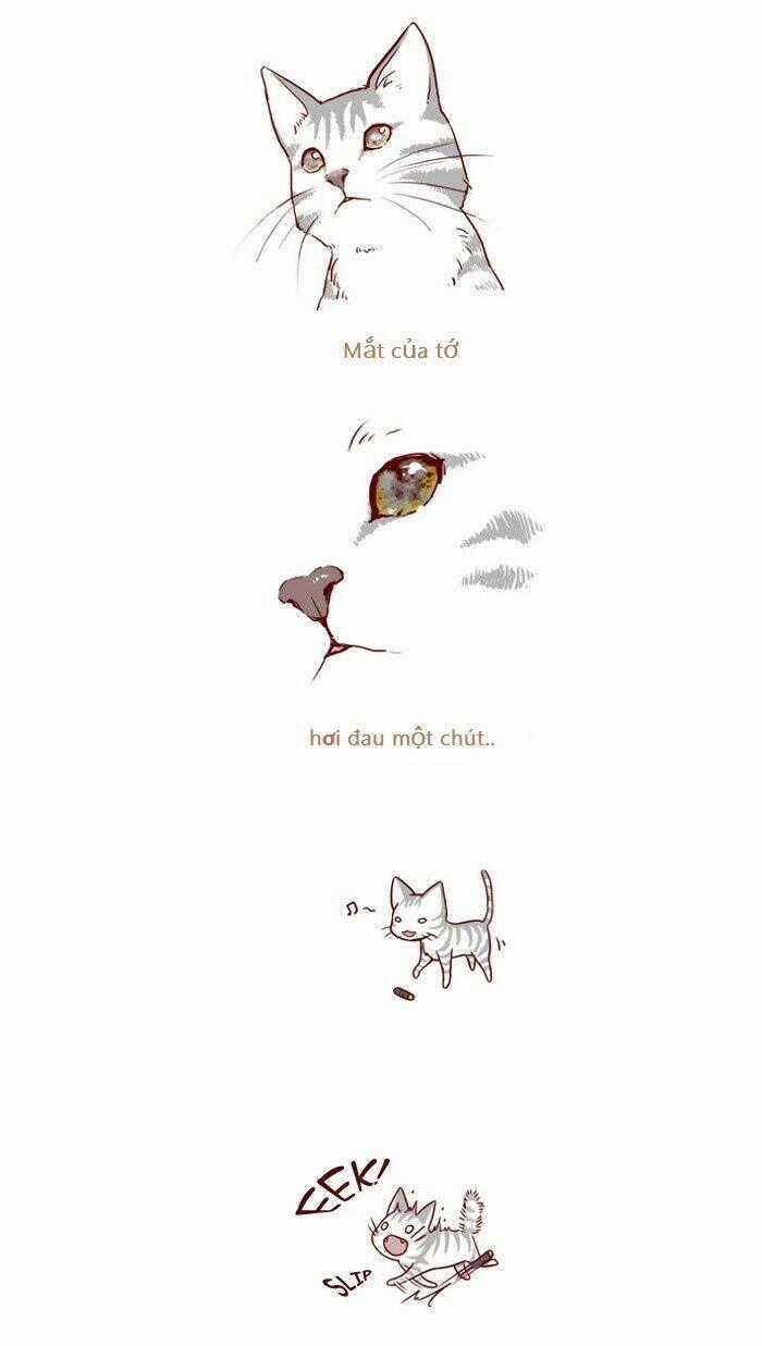 My Kitty And Old Dog - Chapter 3 - Trang 2