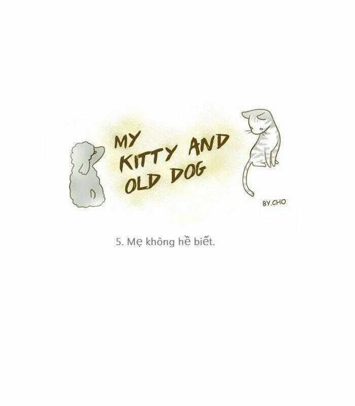 My Kitty And Old Dog - Chapter 5 - Trang 1