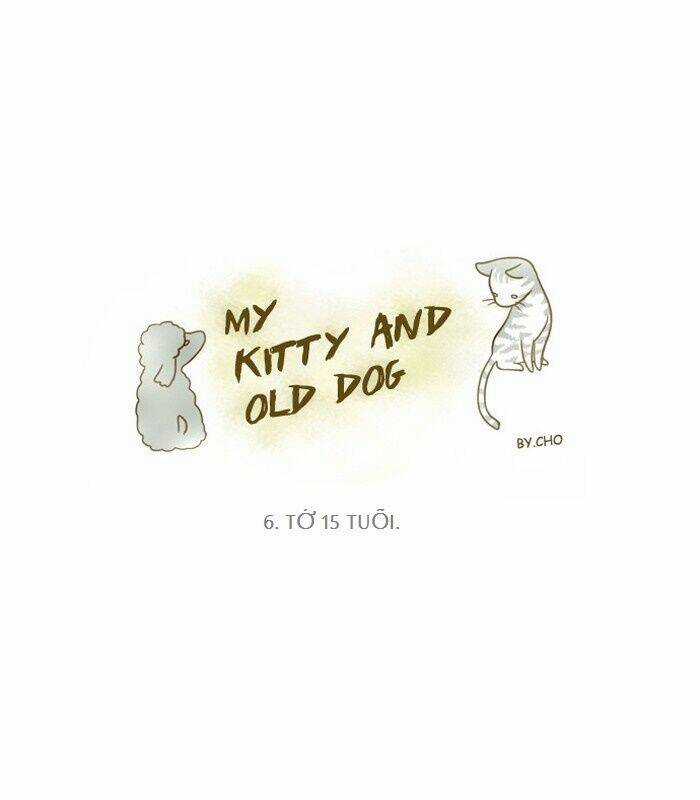 My Kitty And Old Dog - Chapter 6 - Trang 1