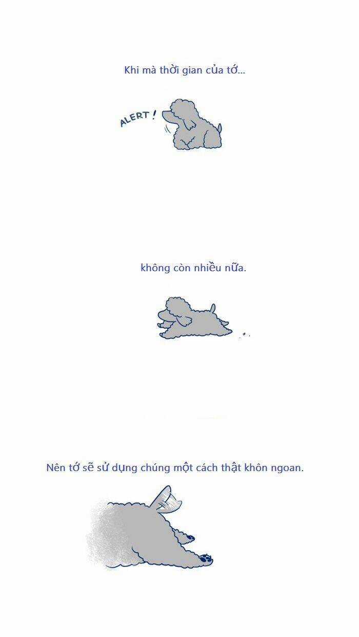 My Kitty And Old Dog - Chapter 6 - Trang 5