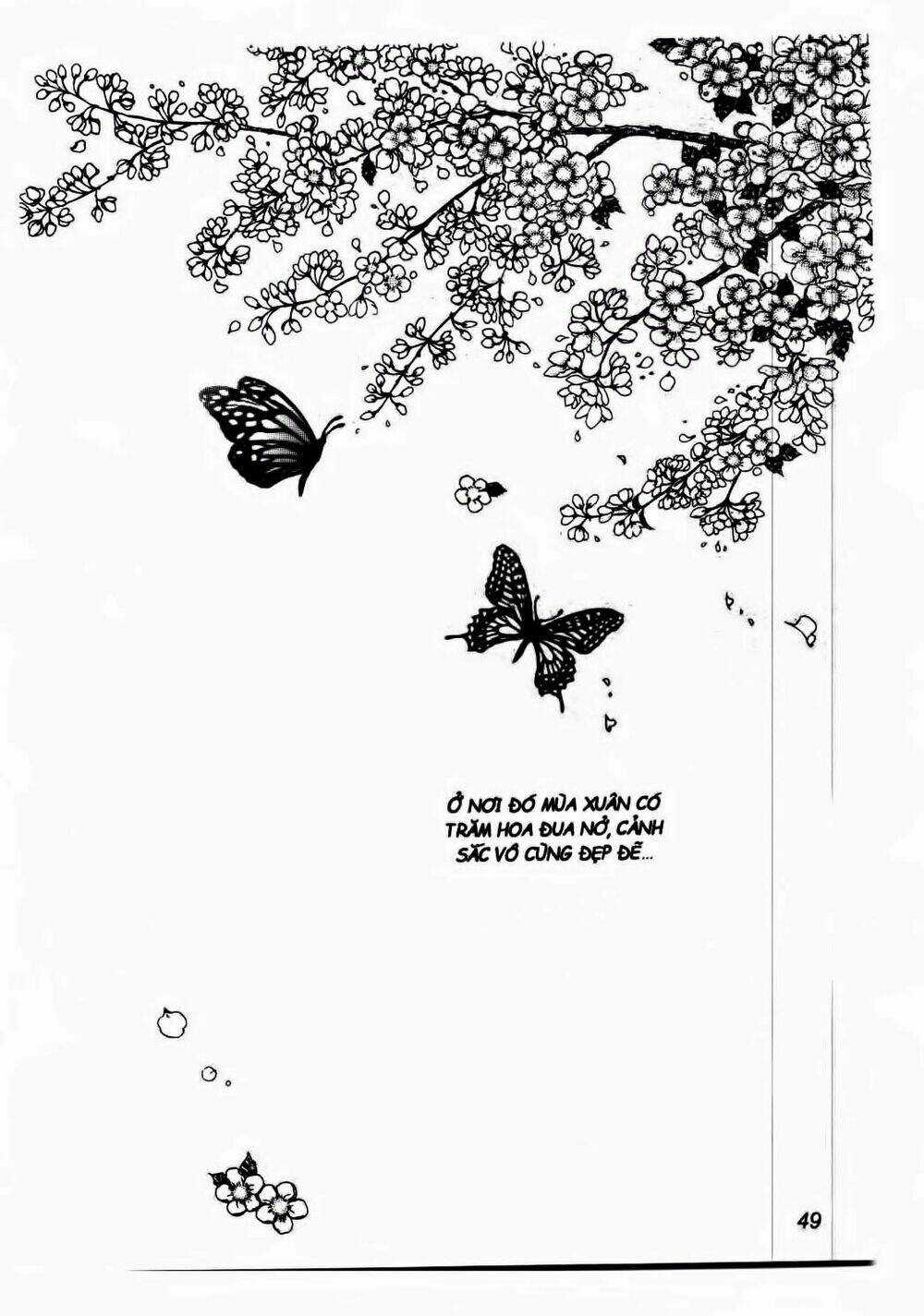 Nabi - Cánh Bướm - Chapter 8 - Trang 20