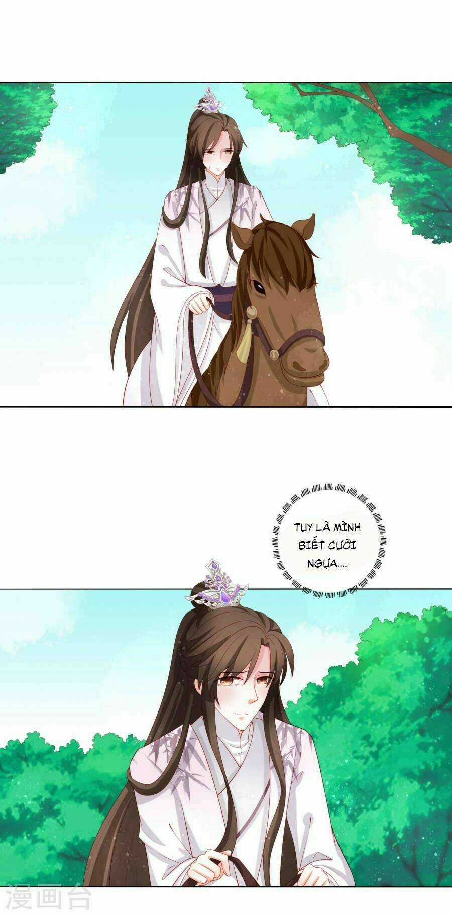 Nam Phi Nữ Tướng - Chapter 18 - Trang 5